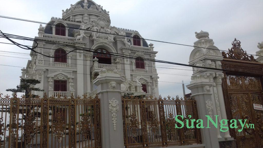 sửa cây cảnh cây thế hà nội